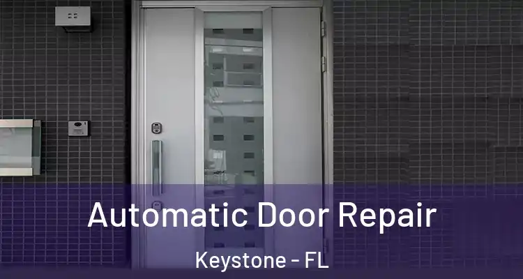 Automatic Door Repair Keystone - FL