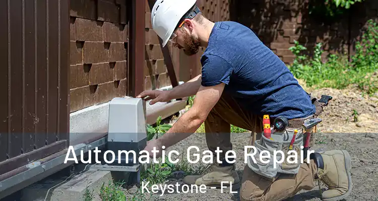 Automatic Gate Repair Keystone - FL