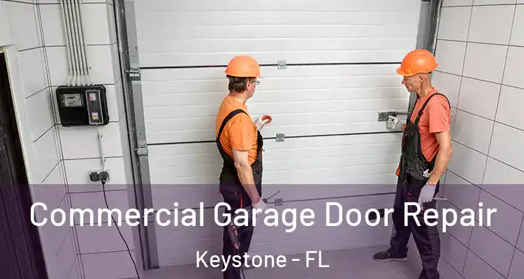 Commercial Garage Door Repair Keystone - FL