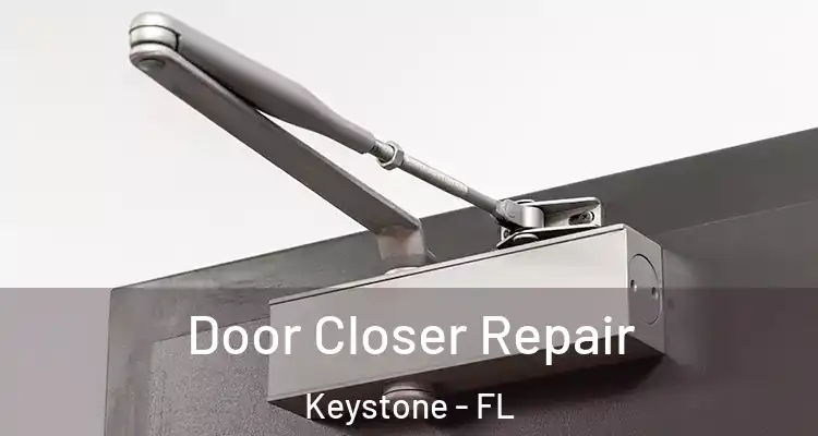 Door Closer Repair Keystone - FL