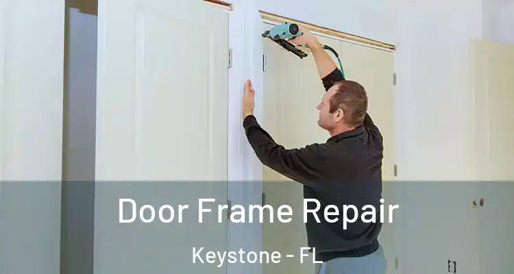 Door Frame Repair Keystone - FL