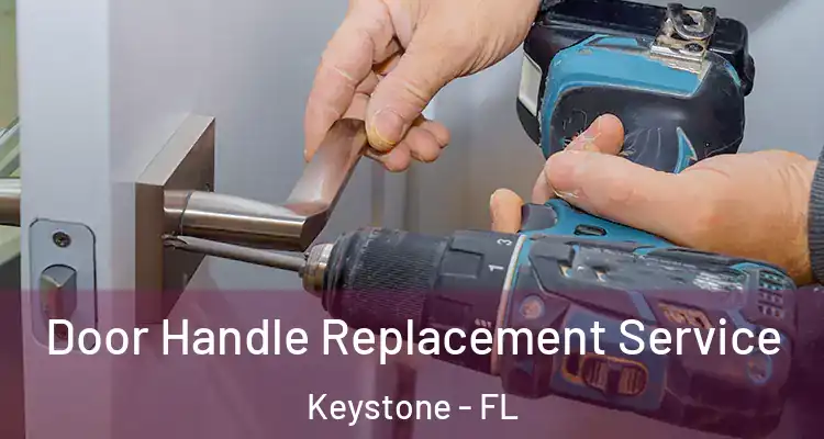 Door Handle Replacement Service Keystone - FL