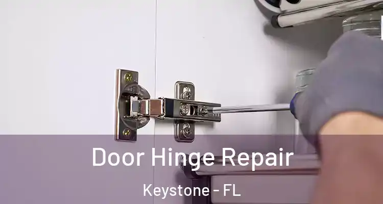 Door Hinge Repair Keystone - FL