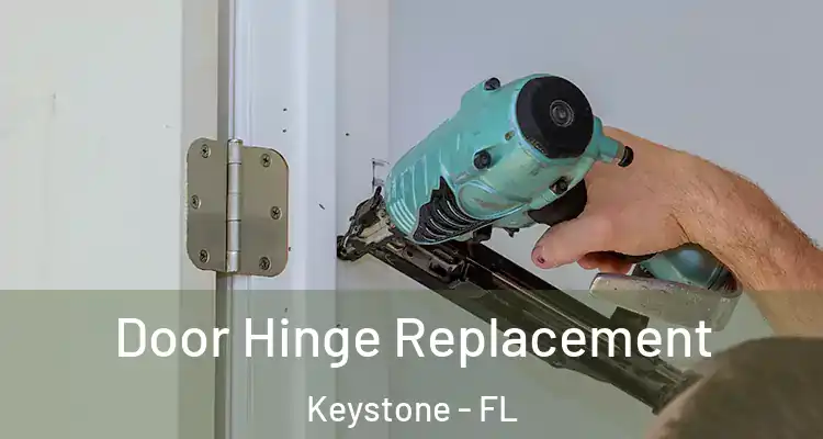 Door Hinge Replacement Keystone - FL