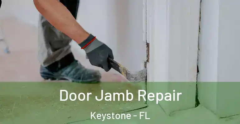 Door Jamb Repair Keystone - FL