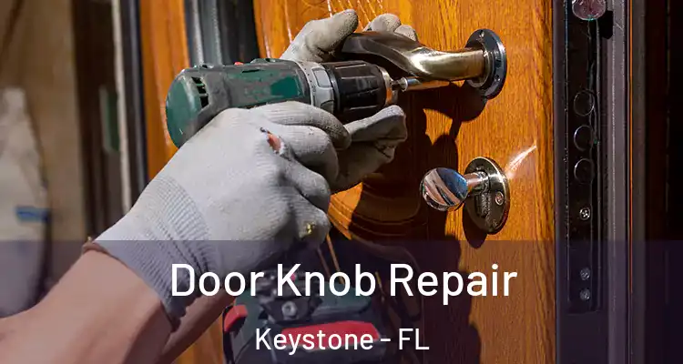 Door Knob Repair Keystone - FL