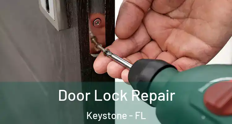 Door Lock Repair Keystone - FL