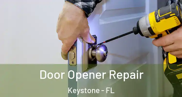 Door Opener Repair Keystone - FL