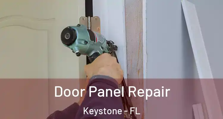 Door Panel Repair Keystone - FL