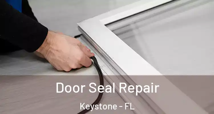 Door Seal Repair Keystone - FL