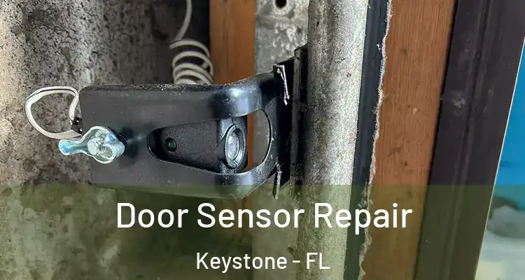 Door Sensor Repair Keystone - FL