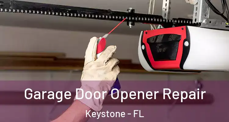 Garage Door Opener Repair Keystone - FL