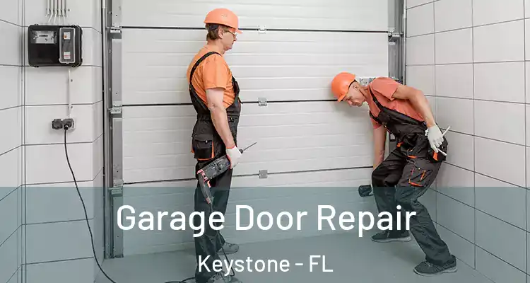 Garage Door Repair Keystone - FL
