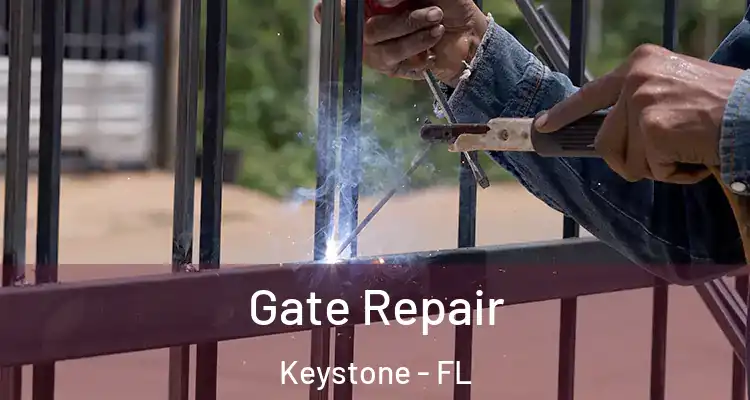 Gate Repair Keystone - FL