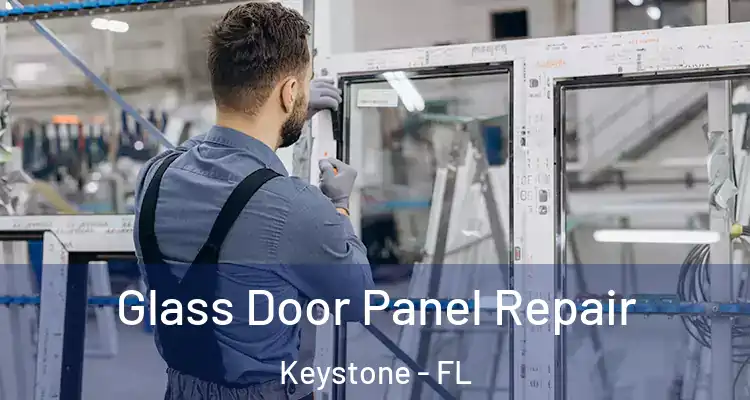 Glass Door Panel Repair Keystone - FL