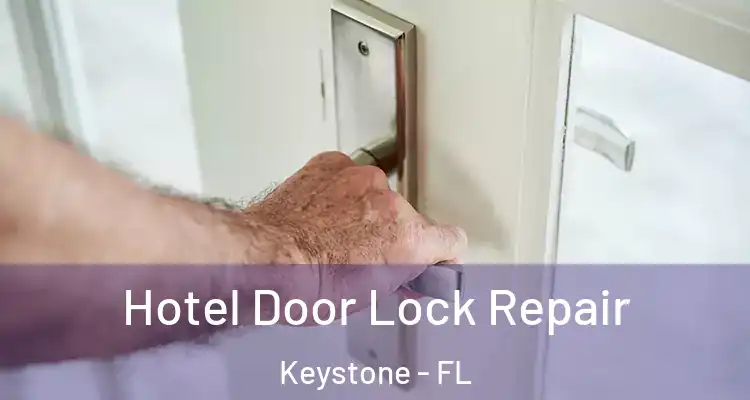 Hotel Door Lock Repair Keystone - FL