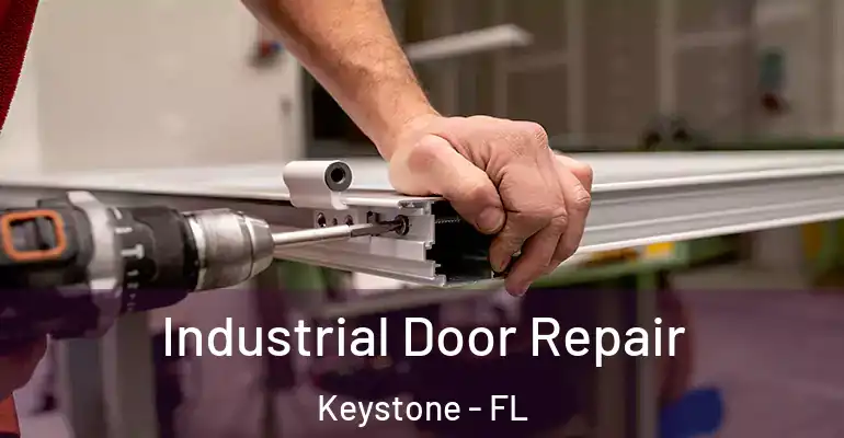 Industrial Door Repair Keystone - FL