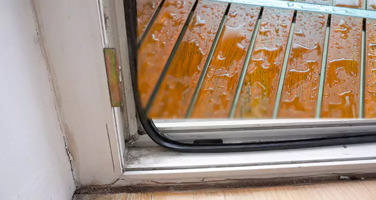 Water Leaking Wooden Patio Doors Repair in Keystone, FL