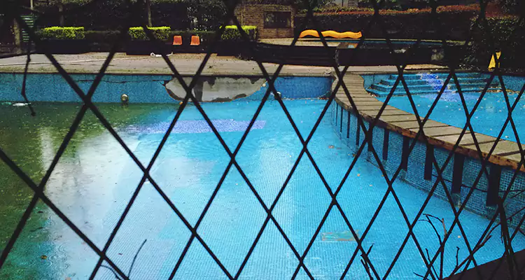 Lanai Screen Repair in Keystone, FL