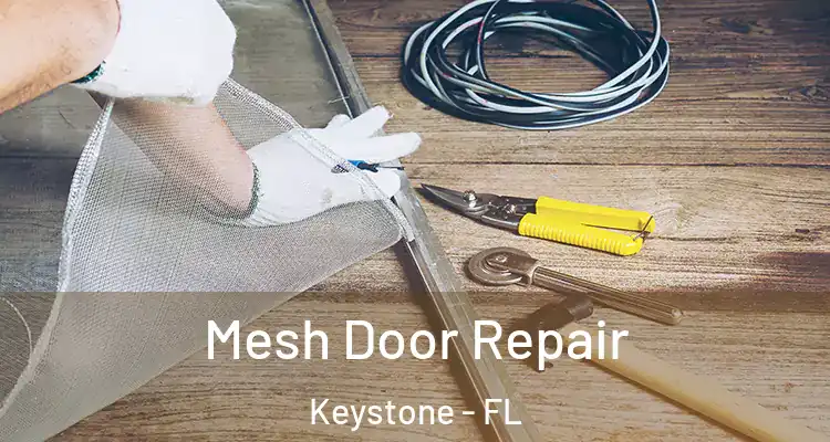 Mesh Door Repair Keystone - FL