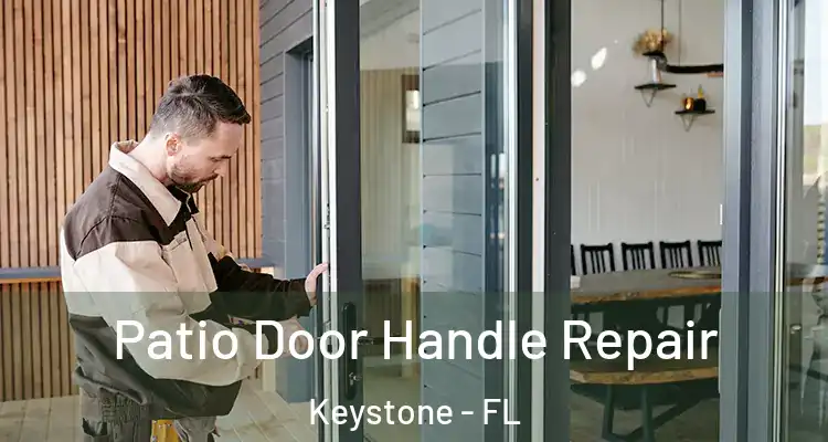 Patio Door Handle Repair Keystone - FL