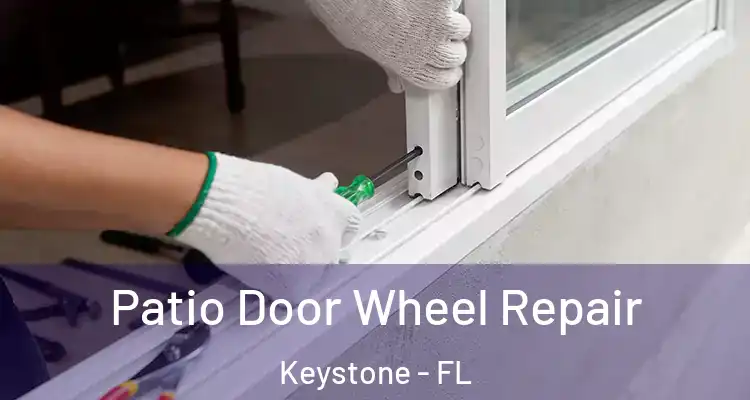 Patio Door Wheel Repair Keystone - FL