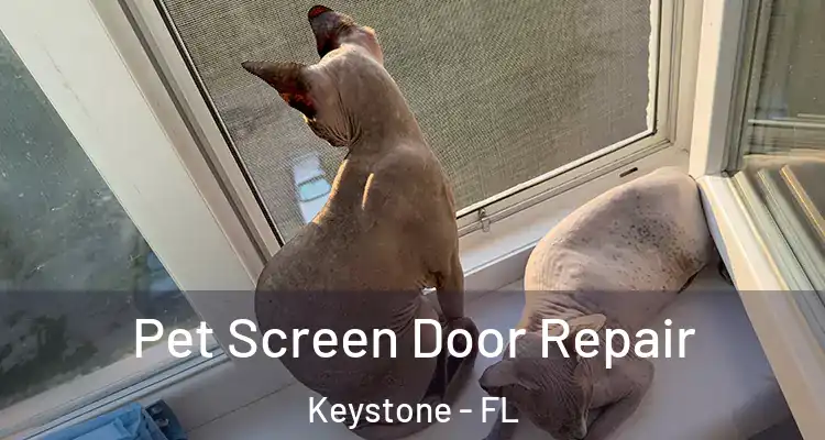 Pet Screen Door Repair Keystone - FL