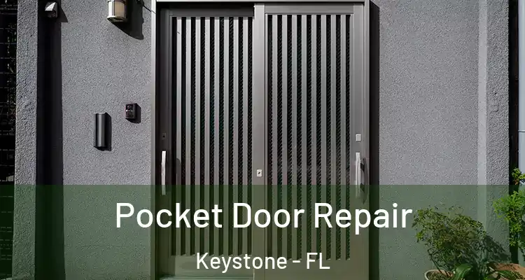 Pocket Door Repair Keystone - FL