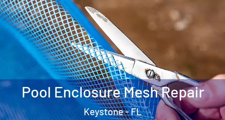 Pool Enclosure Mesh Repair Keystone - FL