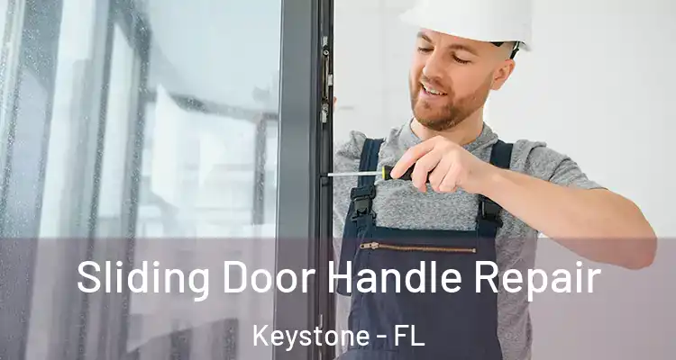 Sliding Door Handle Repair Keystone - FL