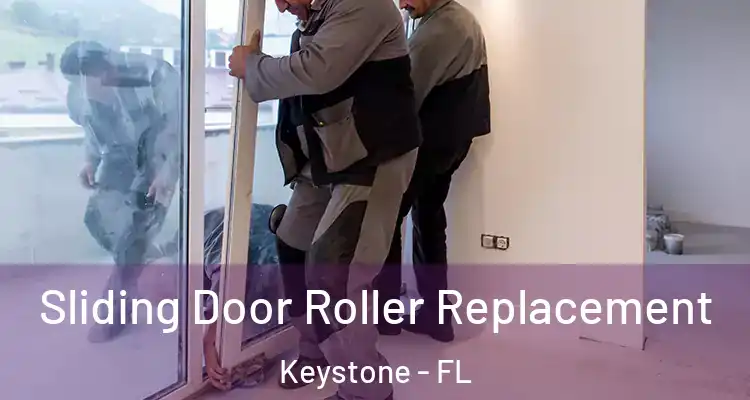Sliding Door Roller Replacement Keystone - FL