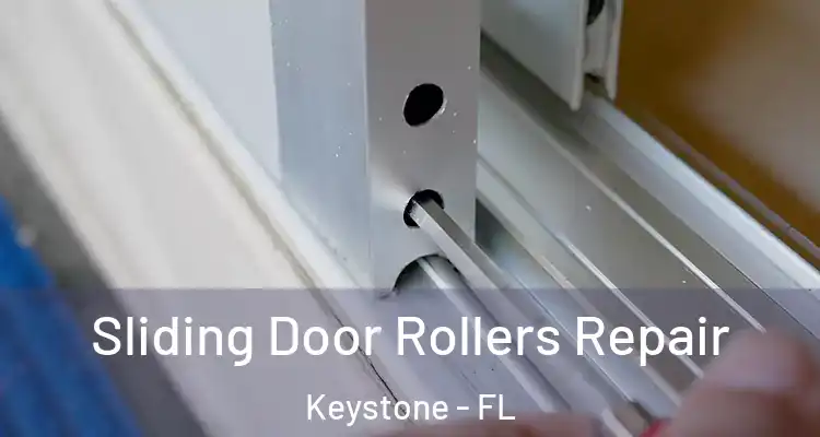 Sliding Door Rollers Repair Keystone - FL