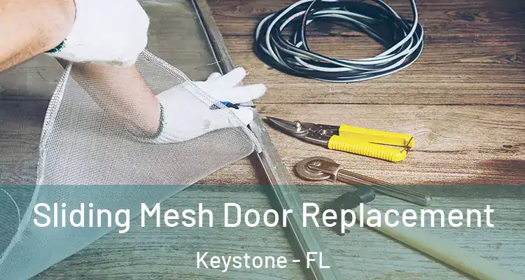 Sliding Mesh Door Replacement Keystone - FL