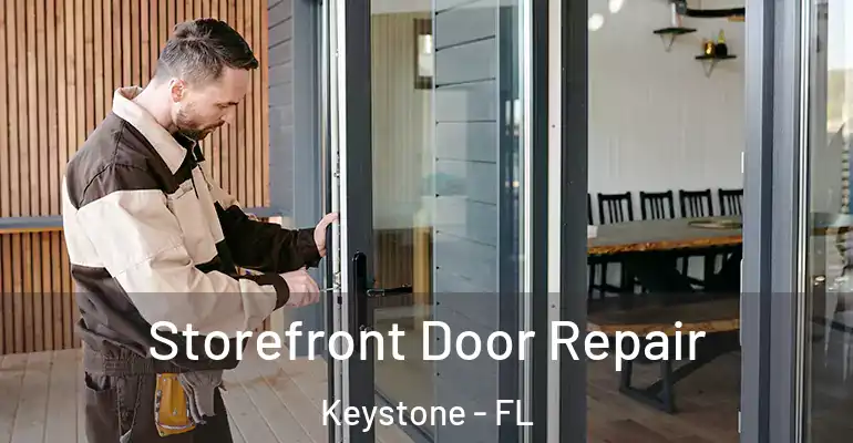 Storefront Door Repair Keystone - FL