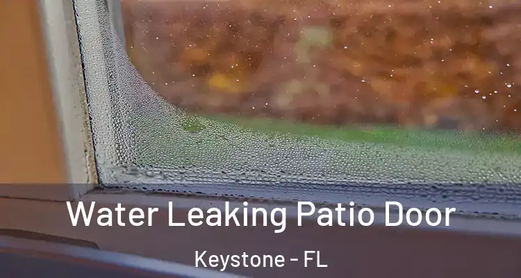 Water Leaking Patio Door Keystone - FL