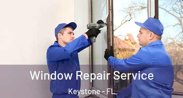Window Repair Service Keystone - FL