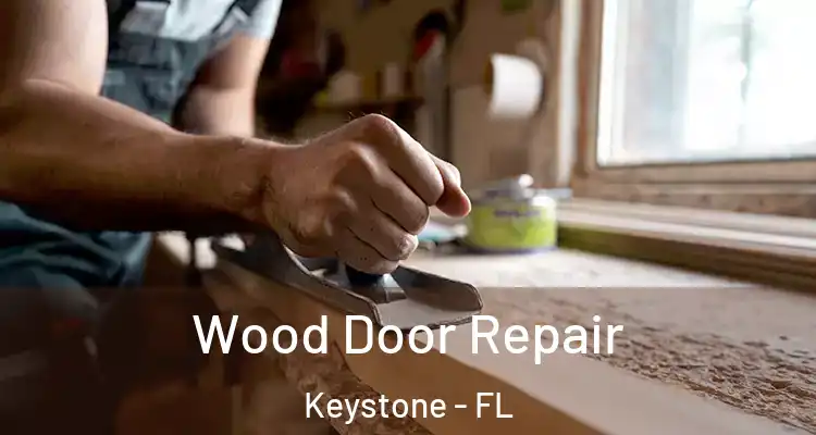 Wood Door Repair Keystone - FL